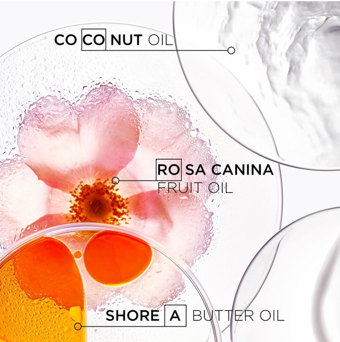 Discipline Shampoo Riche