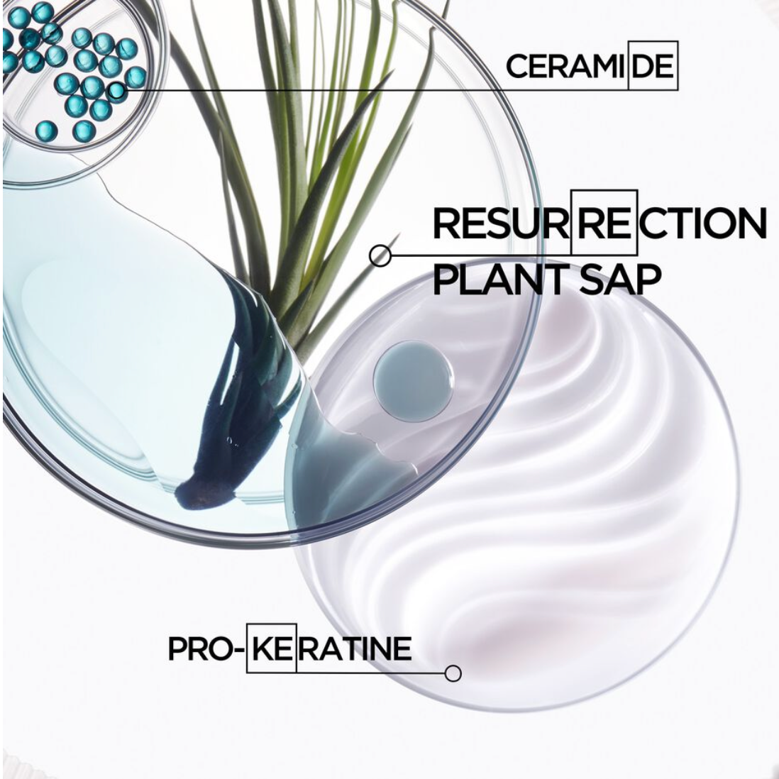 Resistance Ciment Thermique