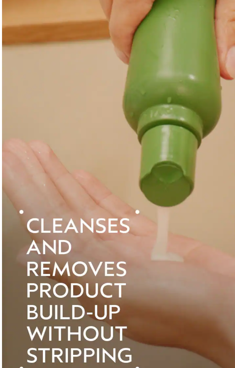 Aveda Be Curly Shampoo