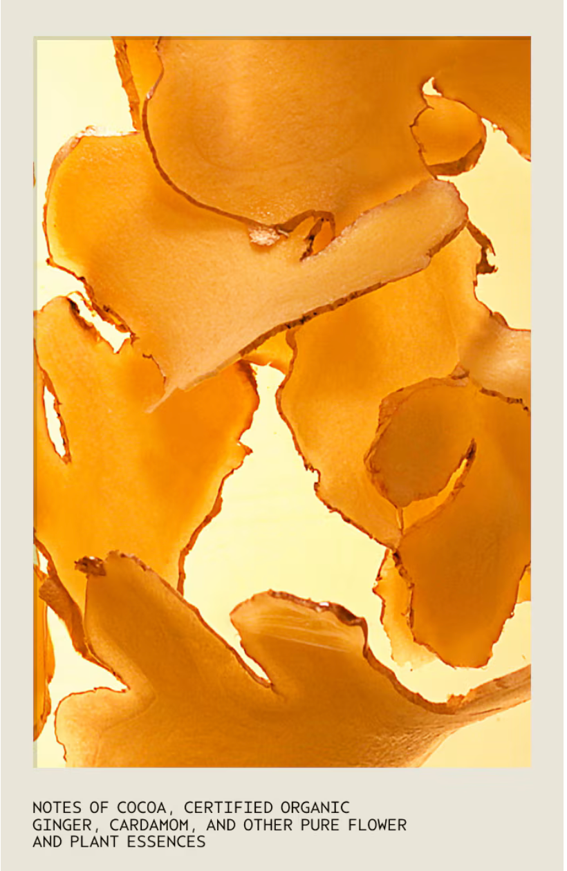 Aveda Nutri Plenish Multi-use hair oil