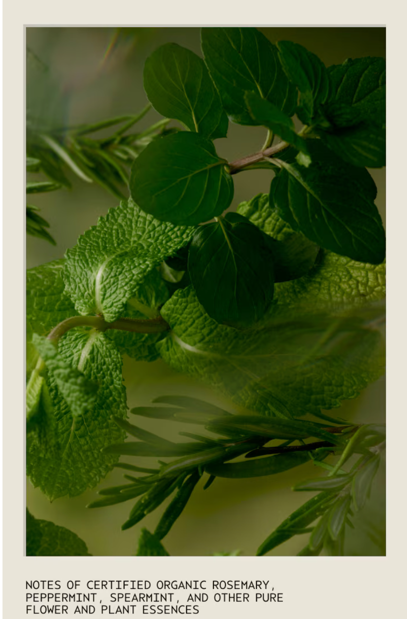 Rosemary Mint Weightless Conditioner