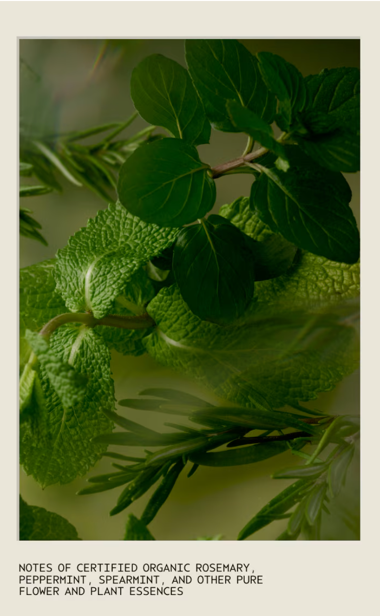 Rosemary Mint Foaming Hand Soap
