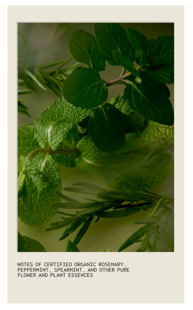 Rosemary Mint Weightless Shampoo